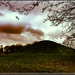 The mound by stuart46