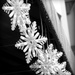 bwsnowflakes by homeschoolmom