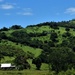 Beautiful Aussie Countryside ~ by happysnaps