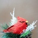 Holiday Bird by daisymiller