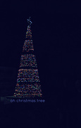 23rd Dec 2017 - Oh Christmas Tree