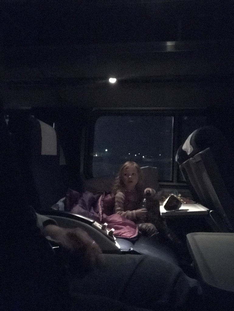 Nighttime on the California Zephyr  by pandorasecho