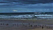 24th Dec 2017 - Seagulls on the Seashore ~