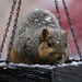 My Special Squirrel Friend by essiesue