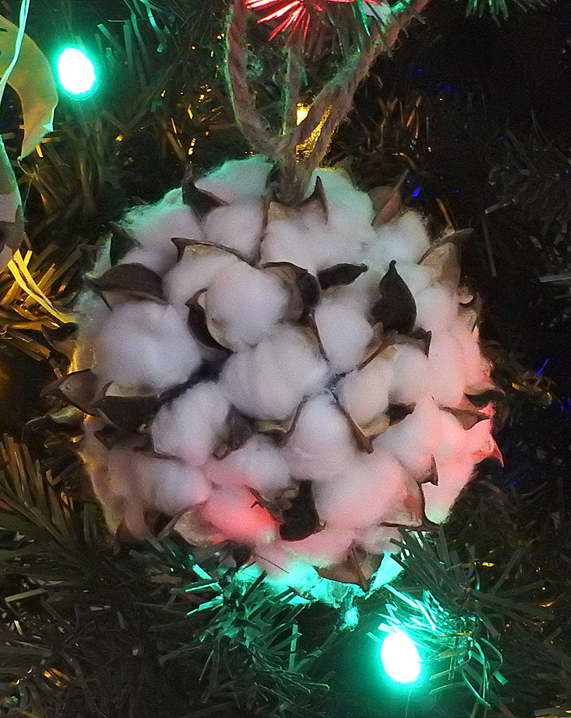 NC Ornament by homeschoolmom