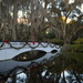 Merry Christmas, Magnolia Gardens, Charleston, SC by congaree