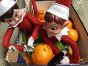 19th Dec 2011 - Mischievous Elf! - Making happy Clementines!