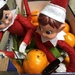 Mischievous Elf! - Making happy Clementines! by bizziebeeme