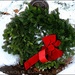 Wreath by olivetreeann