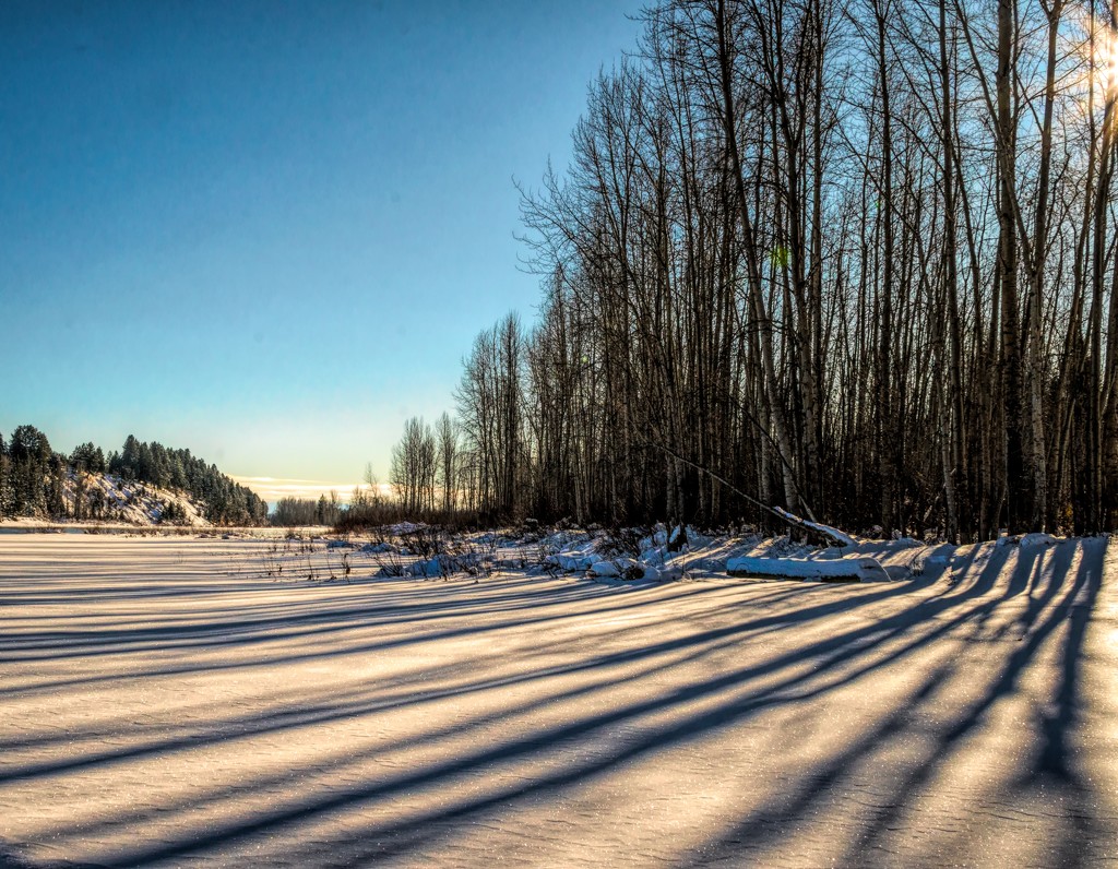 Low Winter Sun Shadows by 365karly1