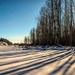 Low Winter Sun Shadows by 365karly1
