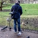 Feeding the pigeons by boxplayer