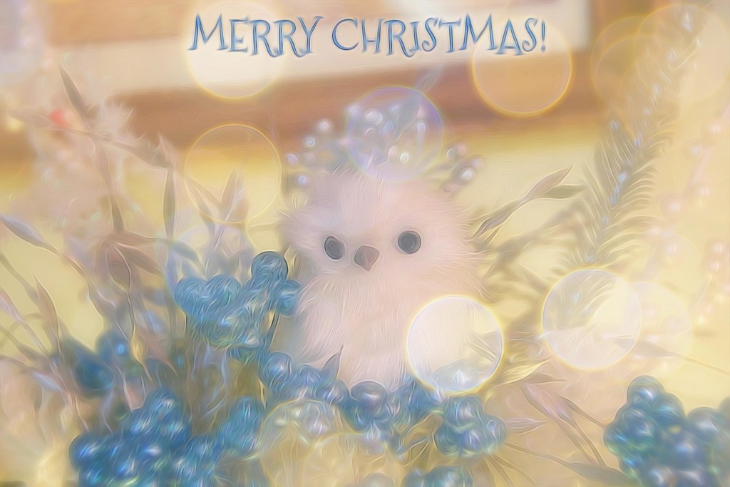 MERRY CHRISTMAS! by joysfocus