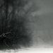 lensbaby winterscape by northy