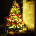 Christmas Tree by philhendry