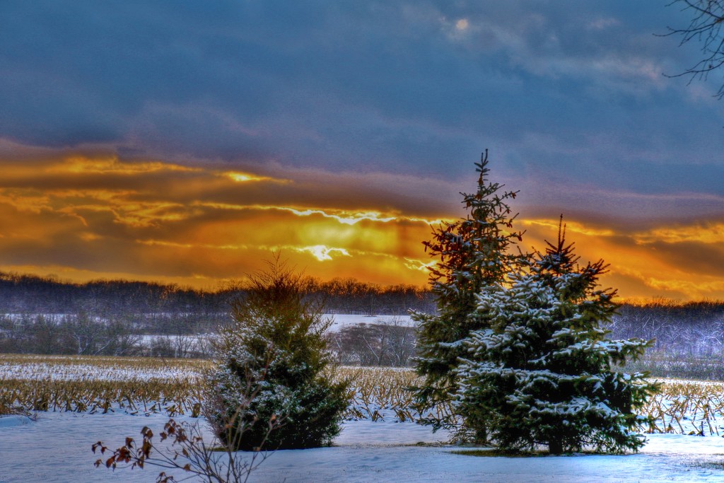 Christmas Eve Sunset by lynnz