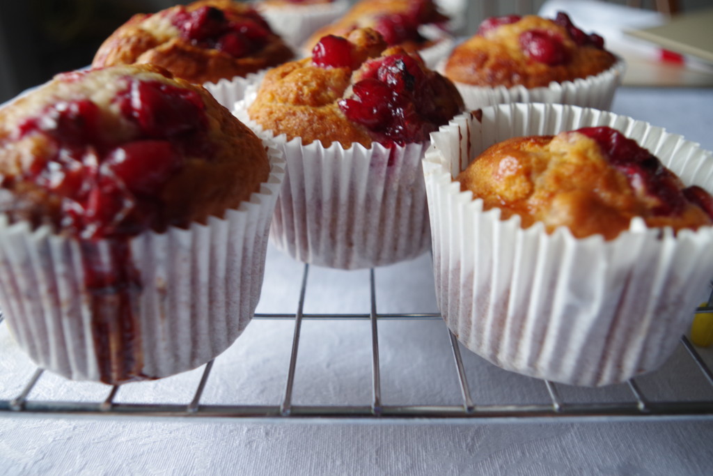 Port Infused Cranberry Muffins for Breakfast? by 30pics4jackiesdiamond