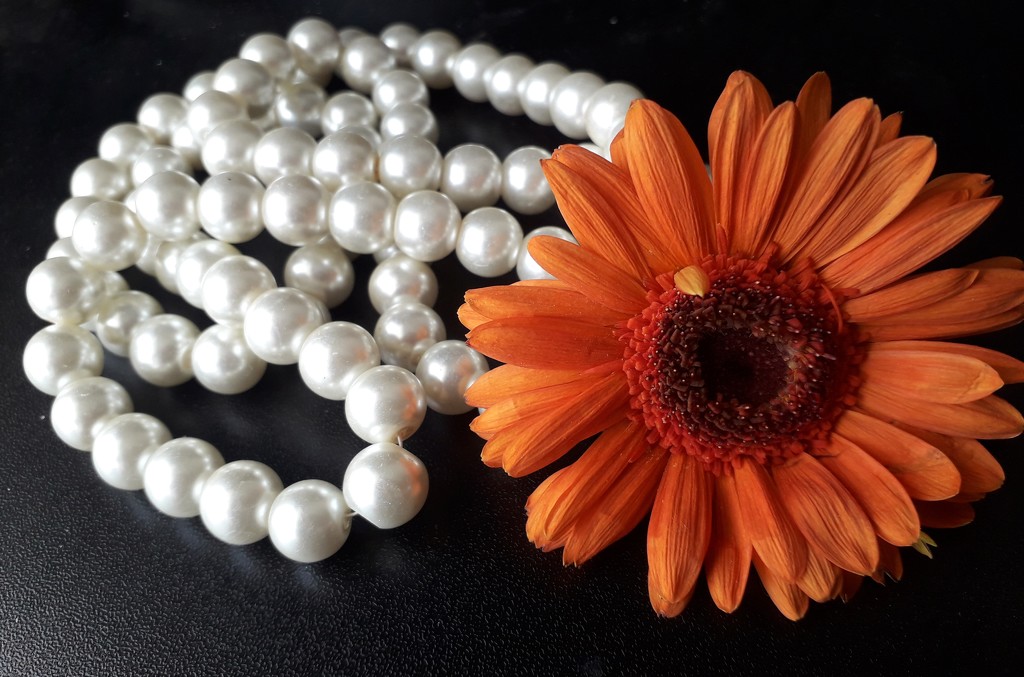 Petals and Pearls  by fbailey