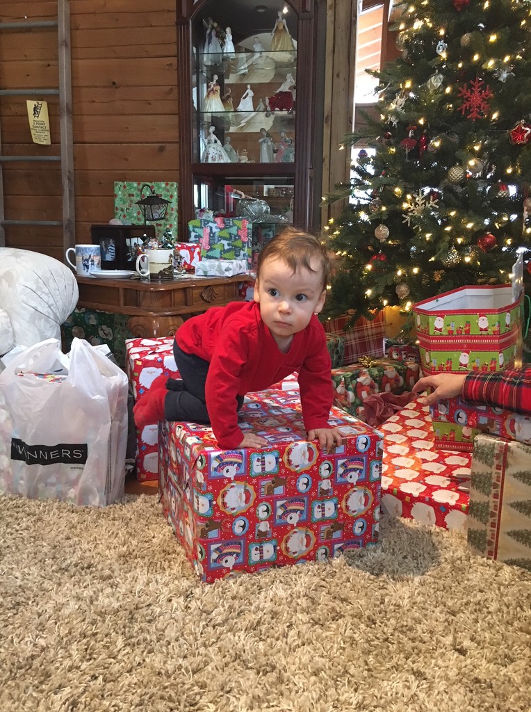 Henry and the Christmas Presents by bruni