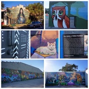27th Dec 2017 - Street art in Gainesville