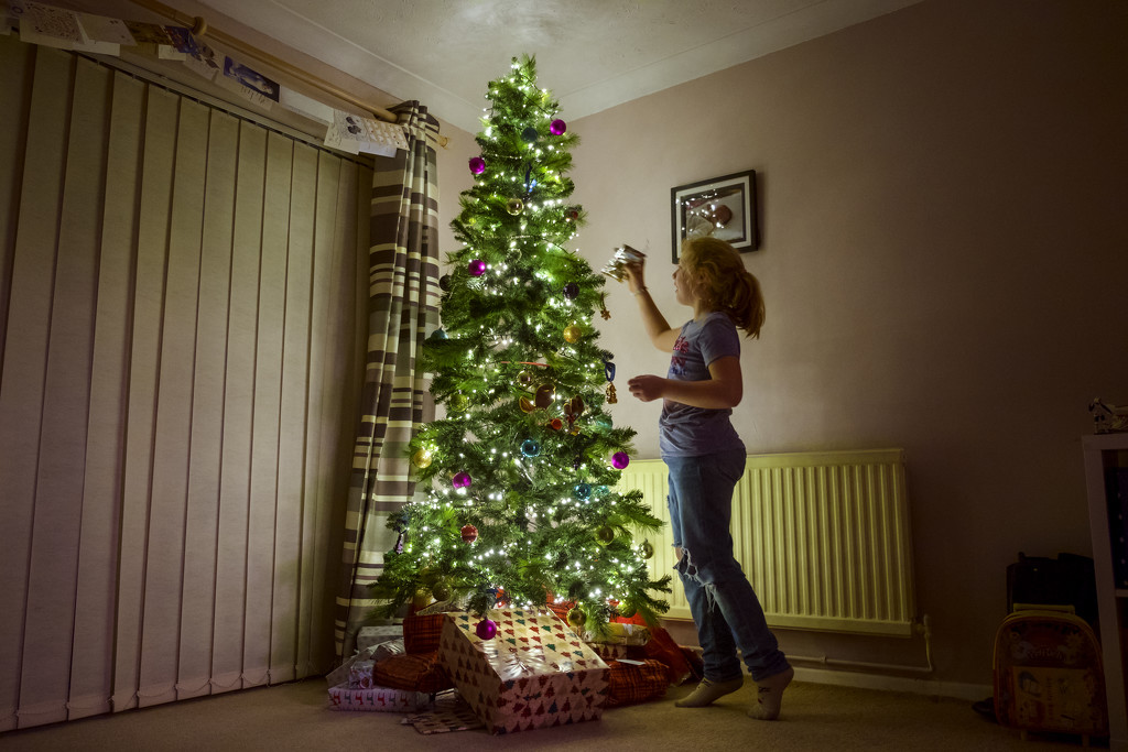 Day 356, Year 5 - The Angell & The Christmas Tree by stevecameras