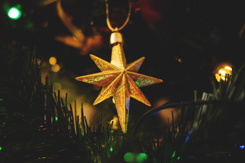 Day 357, Year 5 - Christmas Tree Star by stevecameras