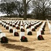 Veterans Cemeteries At Christmas by vernabeth