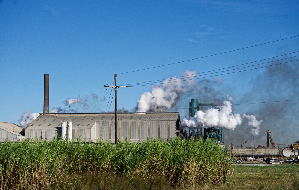 Cora Texas Sugar Mill by eudora