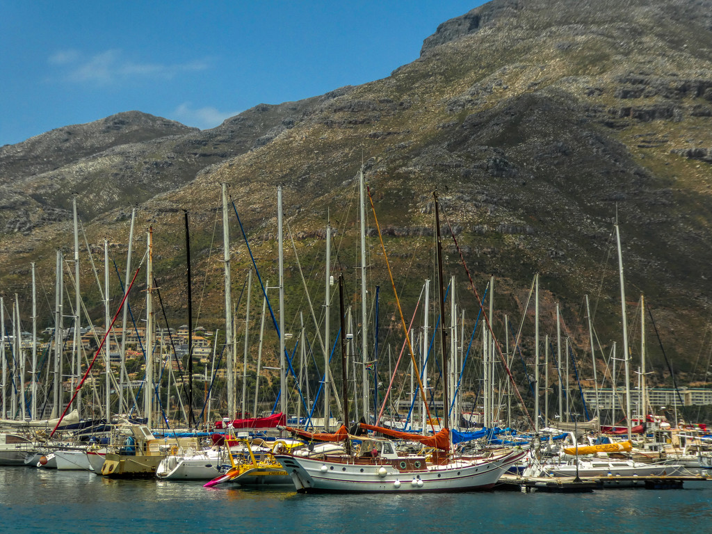 Hout Bay harbour.... by ludwigsdiana
