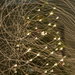 Dizzy Christmas Lights by epcello