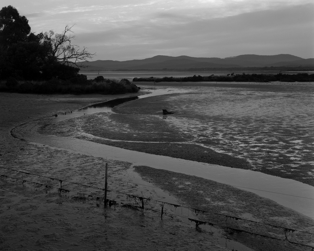 Mudflats in twilight by peterdegraaff