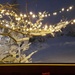 It’s starting to snow on the Christmas lights by caterina