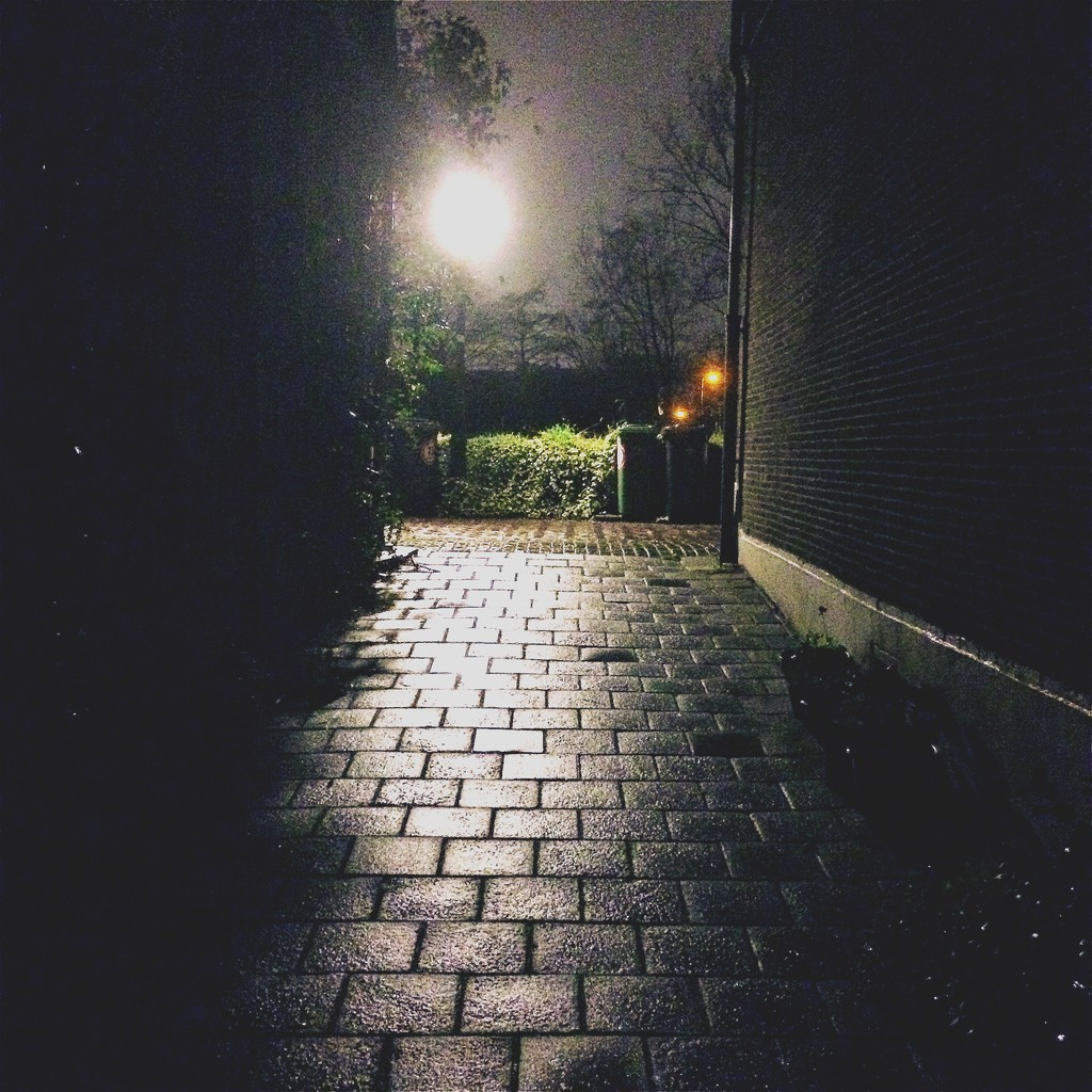 Night stroll by mastermek