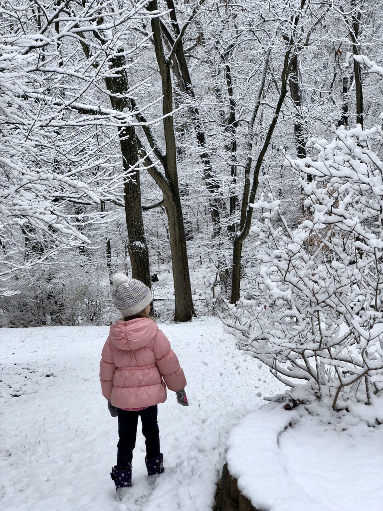 Walking in a winter wonderland by mdoelger