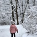 Walking in a winter wonderland by mdoelger