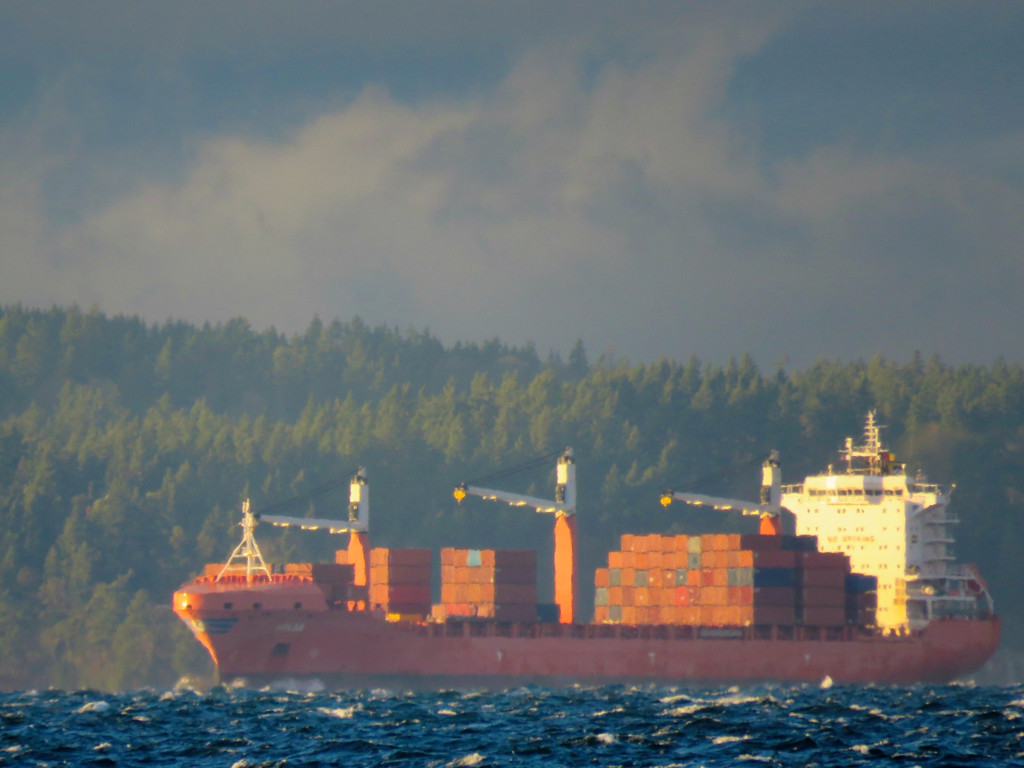 Container Ship On Puget Sound by seattlite