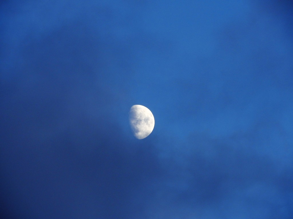 DSCN6391 almost full moon by marijbar