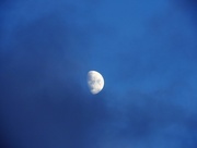 28th Dec 2017 - DSCN6391 almost full moon