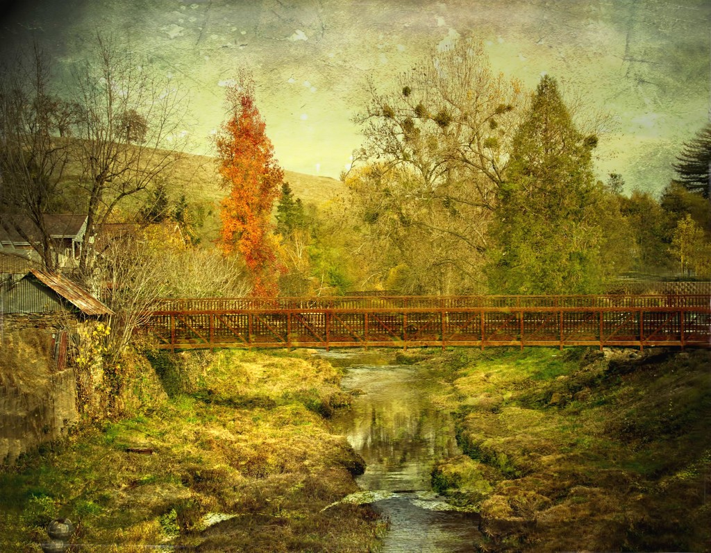The Bridge by joysfocus
