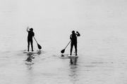 28th Dec 2017 - Paddleboarders...