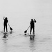 Paddleboarders... by m2016