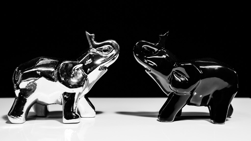 Dueling Elephants, in Chrome and Black by batfish