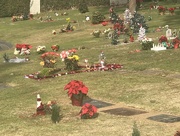 6th Dec 2017 - Xmas at Cemetery 