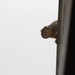 Peek-A-Boo, Squirrel! by bjchipman