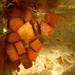 Sweet Potatoes in Tray by sfeldphotos