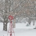 Snowy Day In The Neighborhood by lynnz