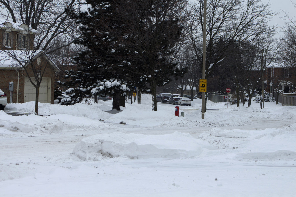 Snow Covered Neighborhood by gaylewood