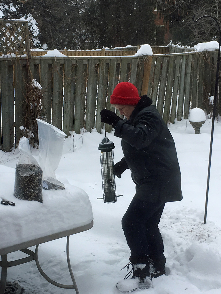 Filling the Feeder in the Snow by gaylewood