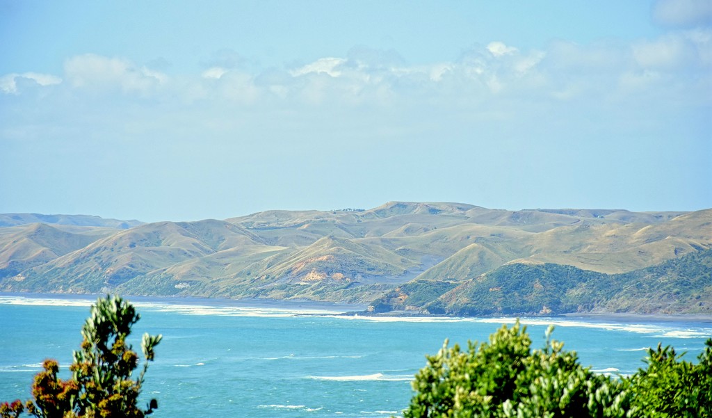 Looking Across to Te Akau by nickspicsnz