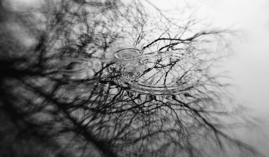 Rain, Ripples and Reflections by motherjane